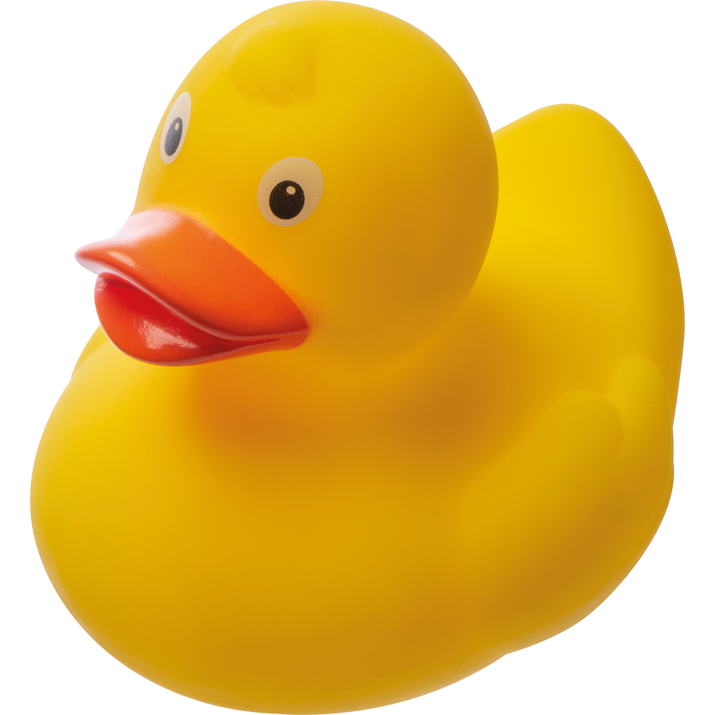 Squeeze Duck 
